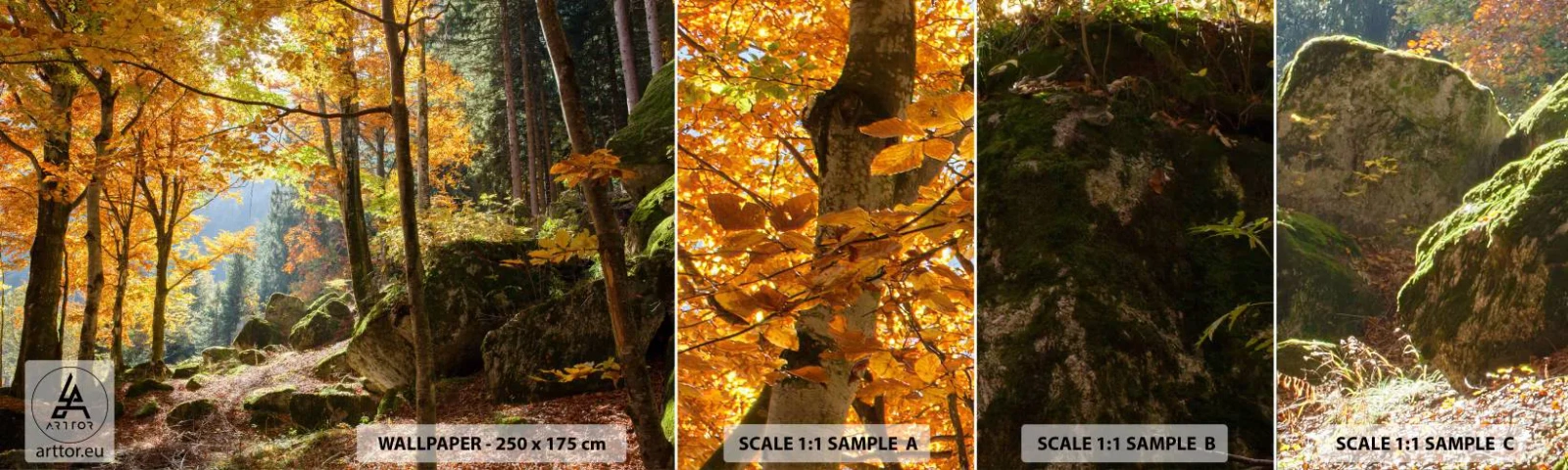 Échantillon De Papier Peint Standard Eco - Il est temps de se détendre - Paysage, Forêt, Nature - 100x30 cm