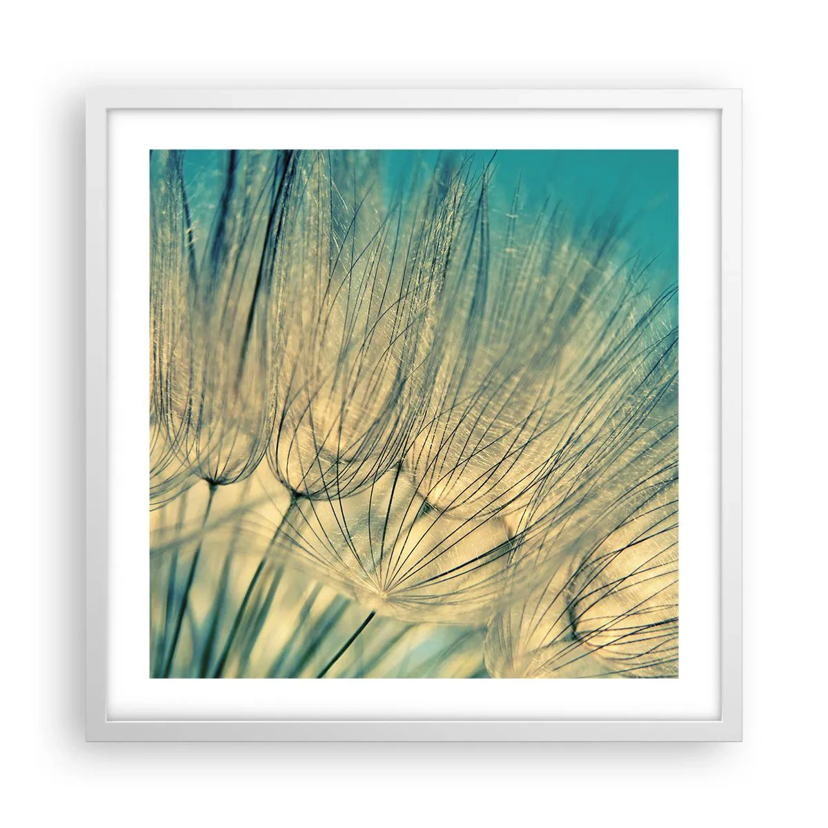 Affiche dans un cadre blanc - Poster - En attente du vent - 50x50 cm