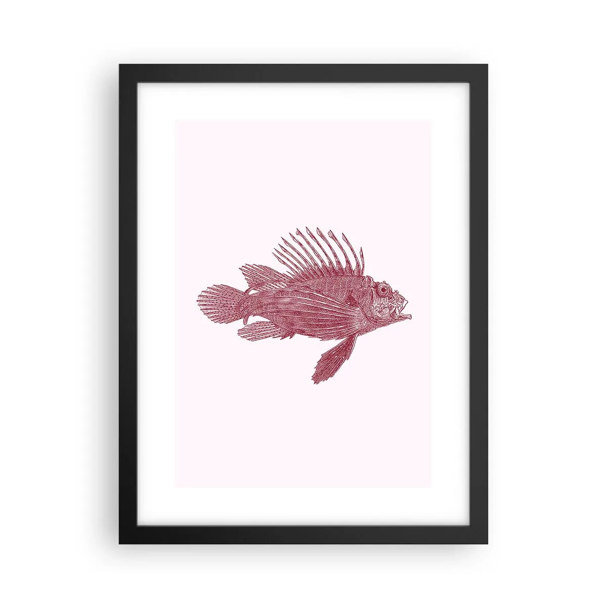 Affiche dans un cadre noir - Poster - Un habitant des eaux exotiques - 30x40 cm