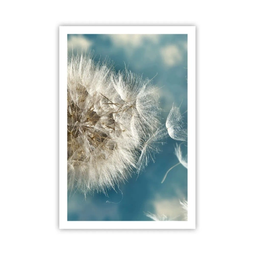 Affiche - Poster - souffle d'ange - 61x91 cm