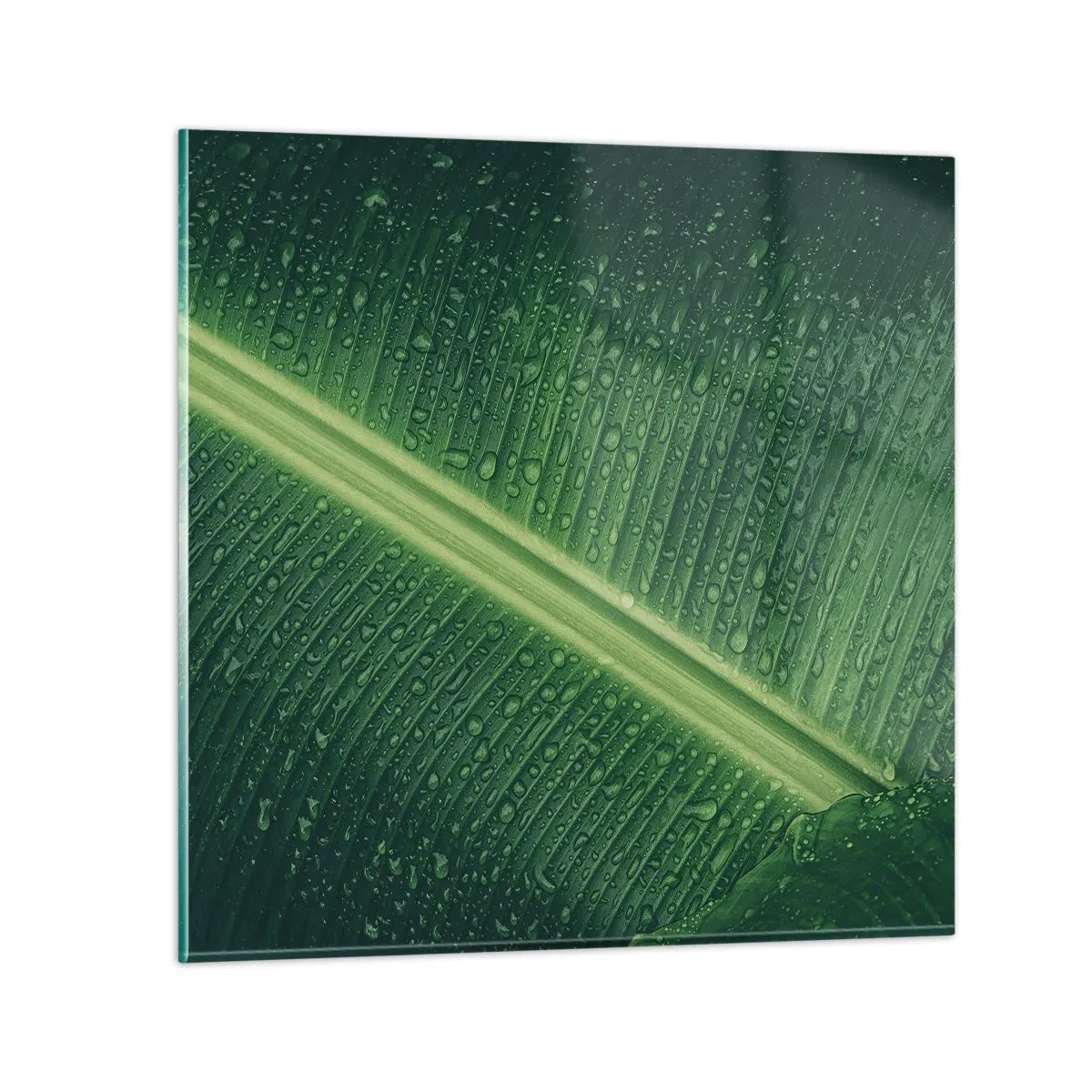 Impression sur verre - Image sur verre - Structure de vert - 30x30 cm