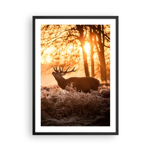 Affiche dans un cadre noir - Poster - Cerf dans les rayons du soleil levant sur fond de forêt - 50x70cm - Le rêve d'un chasseur - Décoration murale moderne pour le salon et la chambre ARTTOR