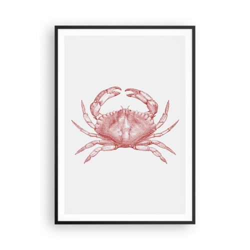Affiche dans un cadre noir - Poster - Le crabe des crabes - 70x100 cm