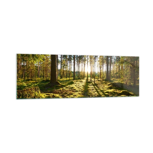 Impression sur verre - Image sur verre - Forêt verte illuminée par la lumière du soleil sur la mousse - 160x50cm - … Derrière les sept forêts - Décoration murale moderne pour le salon et la chambre ARTTOR