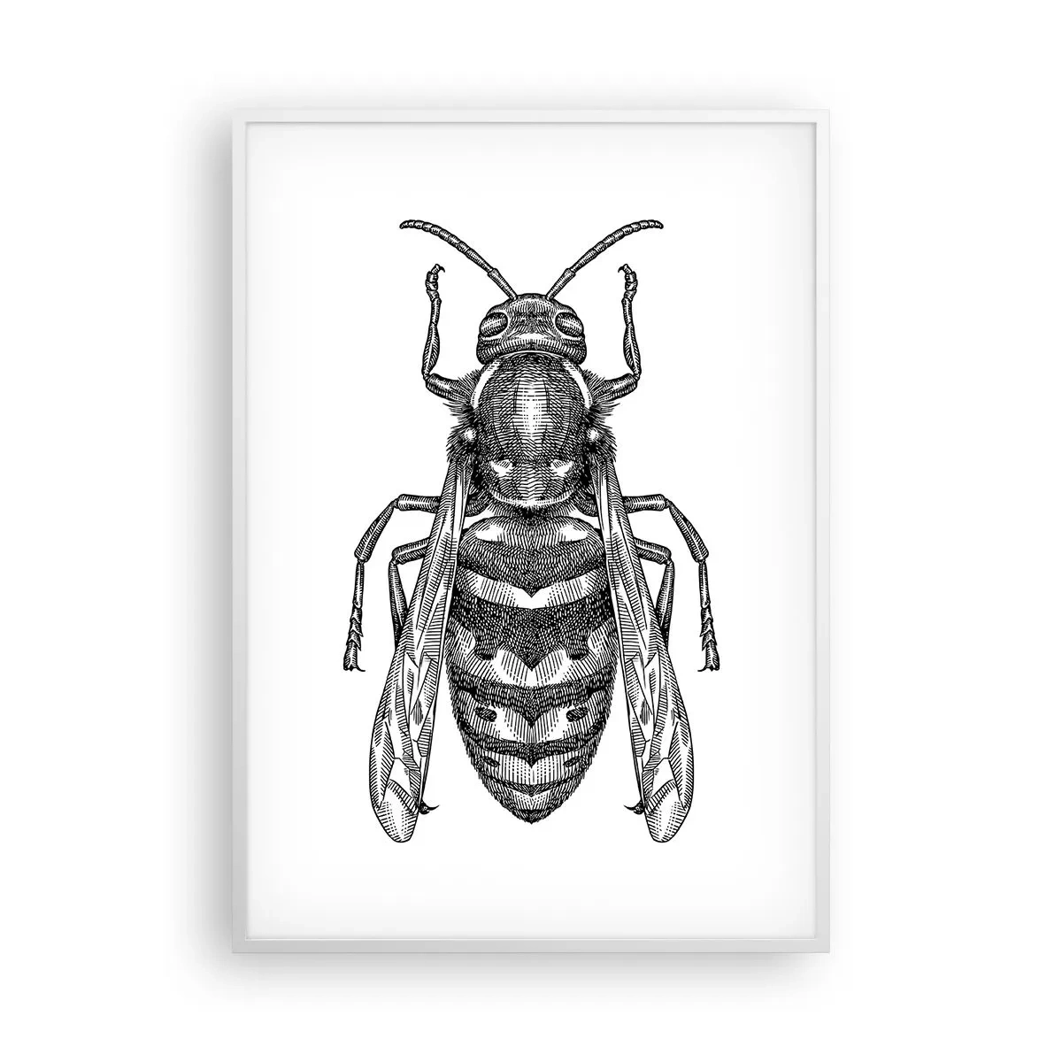 Affiche dans un cadre blanc - Poster - D'une planète d'insectes - 70x100 cm