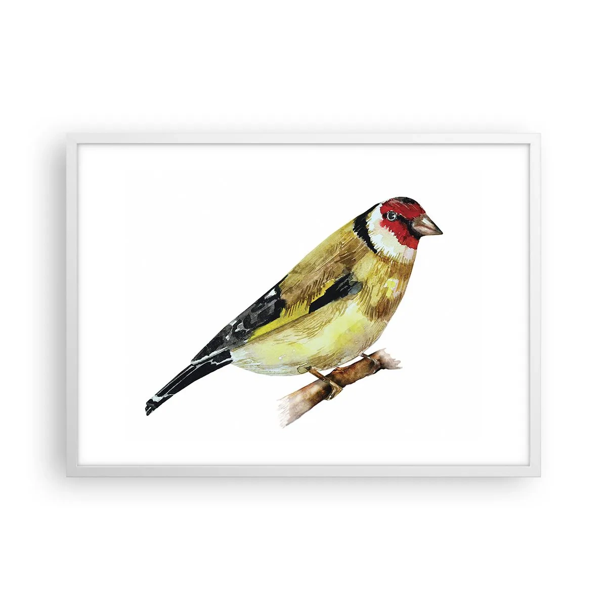Affiche dans un cadre blanc - Poster - Portrait d'oiseau - 70x50 cm
