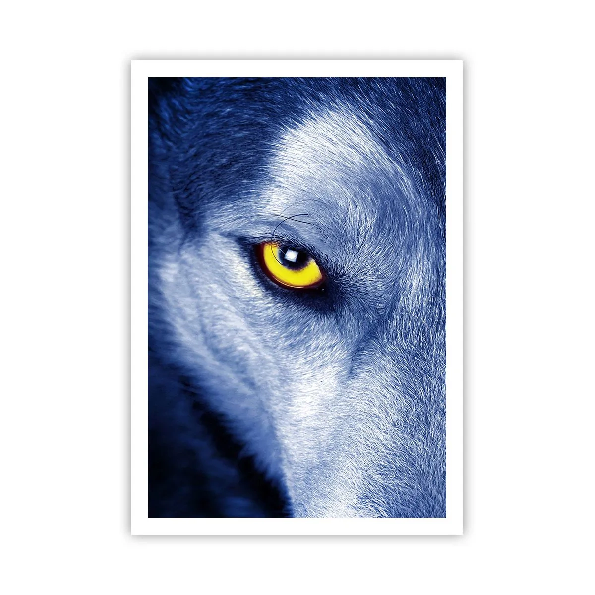 Affiche - Poster - Regars hypnotique - 70x100 cm