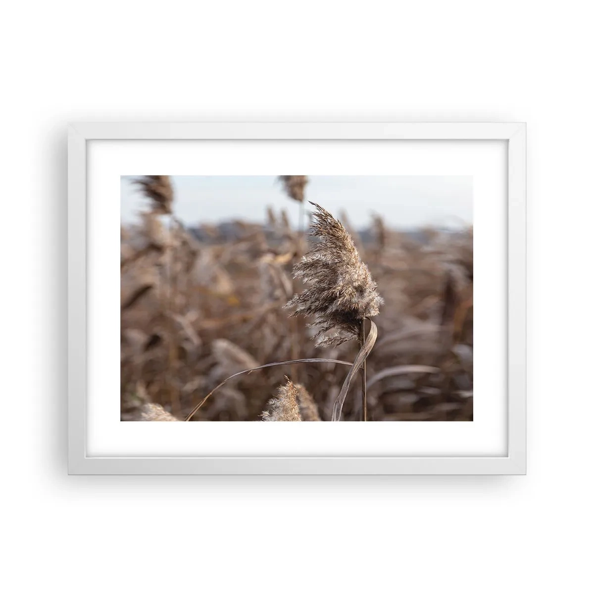 Affiche dans un cadre blanc - Poster - Il est temps de s'envoler avec le vent - 40x30 cm