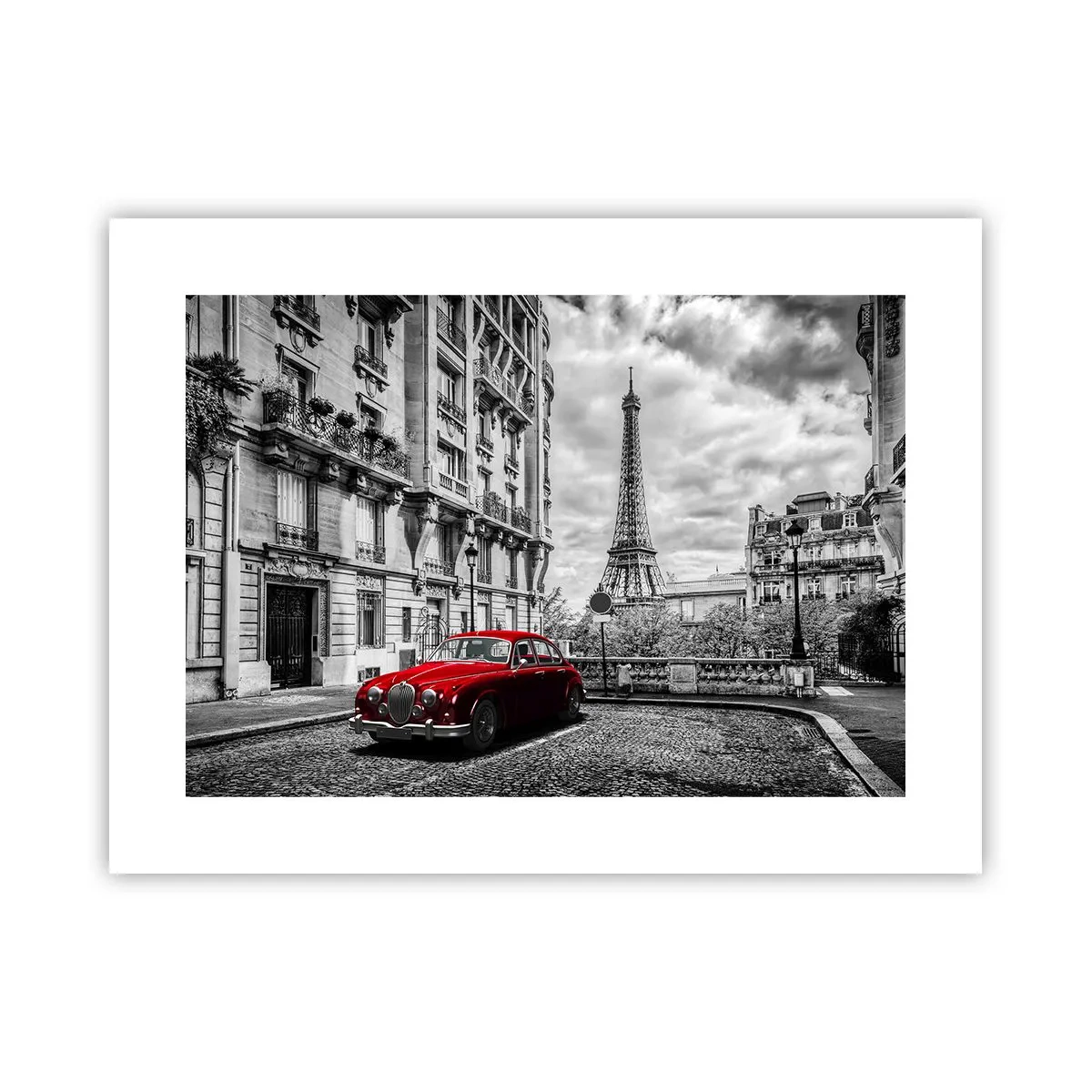 Affiche - Poster - Prédateur dans la ville - 40x30 cm