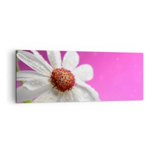 Impression sur toile - Image sur toile - Une marguerite blanche recouverte de gouttes d'eau sur un fond rose - 140x50cm - Modeste dans sa beauté - Décoration murale moderne pour le salon et la chambre ARTTOR