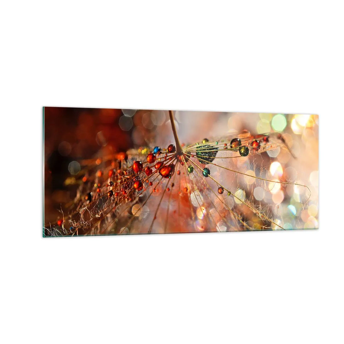 Impression sur verre - Image sur verre - Enfilé sur un fil d'araignée - 100x40 cm