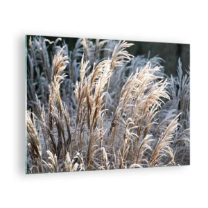 Impression sur verre - Image sur verre - Herbes gelées au soleil d'hiver - 70x50cm - Habillé de givre - Décoration murale moderne pour le salon et la chambre ARTTOR
