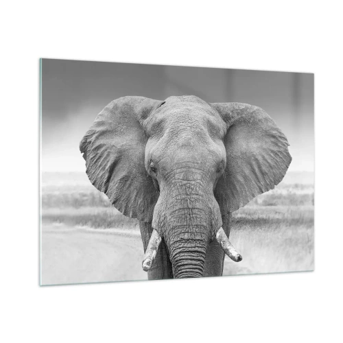 Impression sur verre - Image sur verre - Portrait noir et blanc d'un éléphant dans la savane - 100x70cm - Bienvenue dans mon monde - Décoration murale moderne pour le salon et la chambre ARTTOR