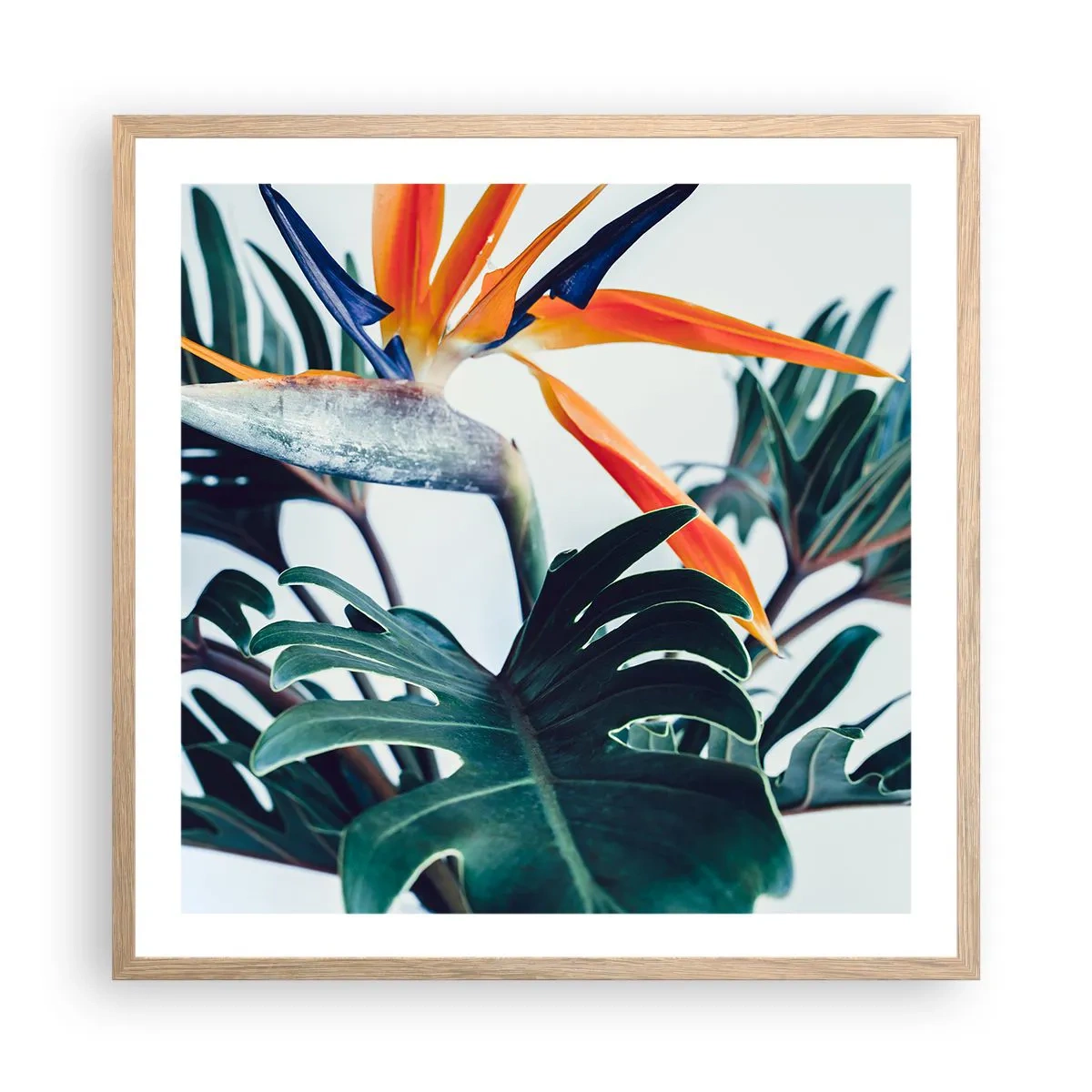 Affiche dans un chêne clair - Poster - Le buisson oiseaux - 60x60 cm