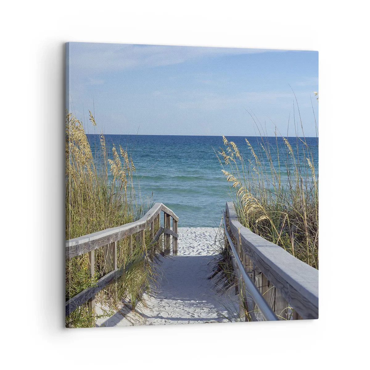 Impression sur toile - Image sur toile - Au soleil, sous le vent - 60x60 cm