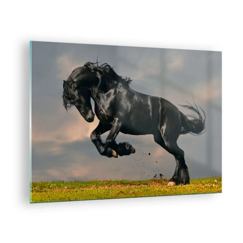 Impression sur verre - Image sur verre - Un cheval noir dans un saut dynamique contre un ciel nuageux - 70x50cm - Beau et libre - Décoration murale moderne pour le salon et la chambre ARTTOR