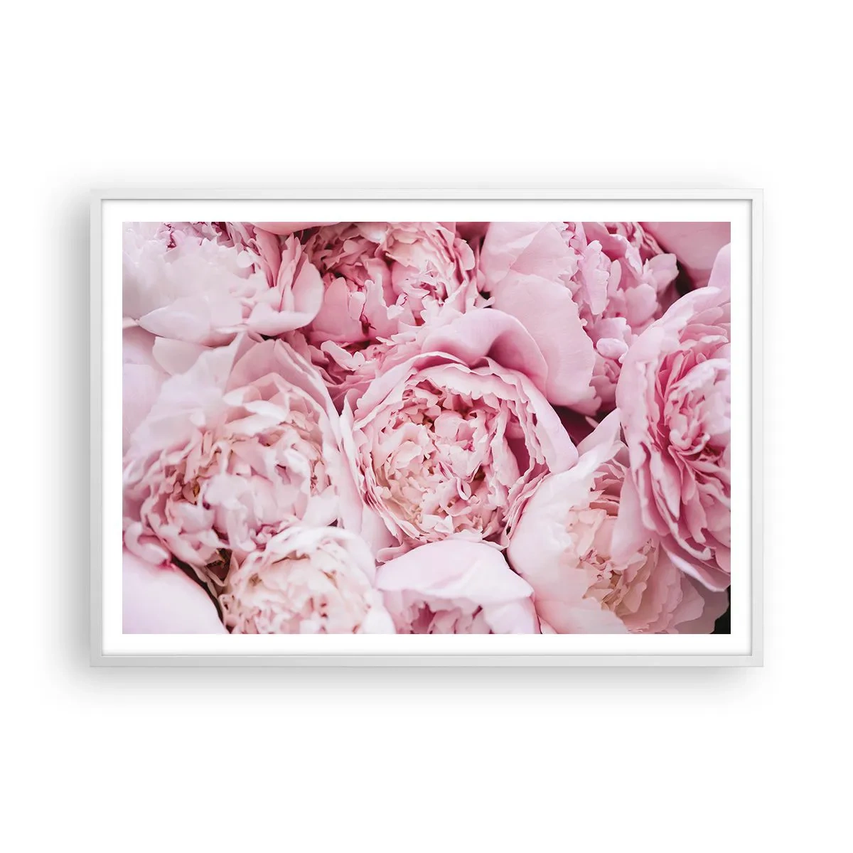 Affiche dans un cadre blanc - Poster - Caliné et parfumé - 100x70 cm