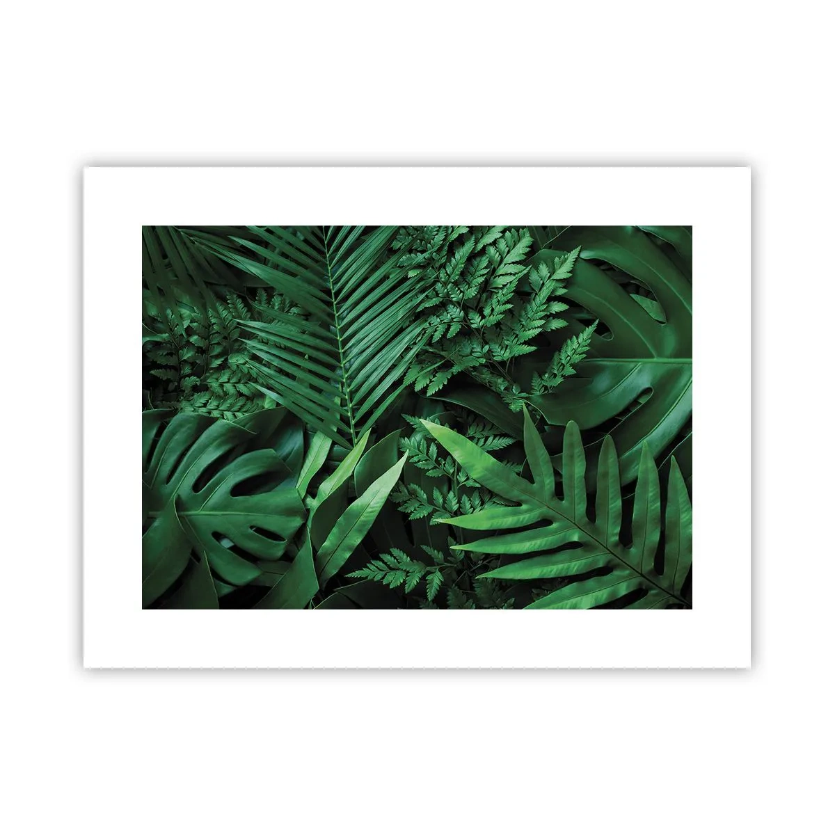 Affiche - Poster - Emmitouflé de verdure - 40x30 cm