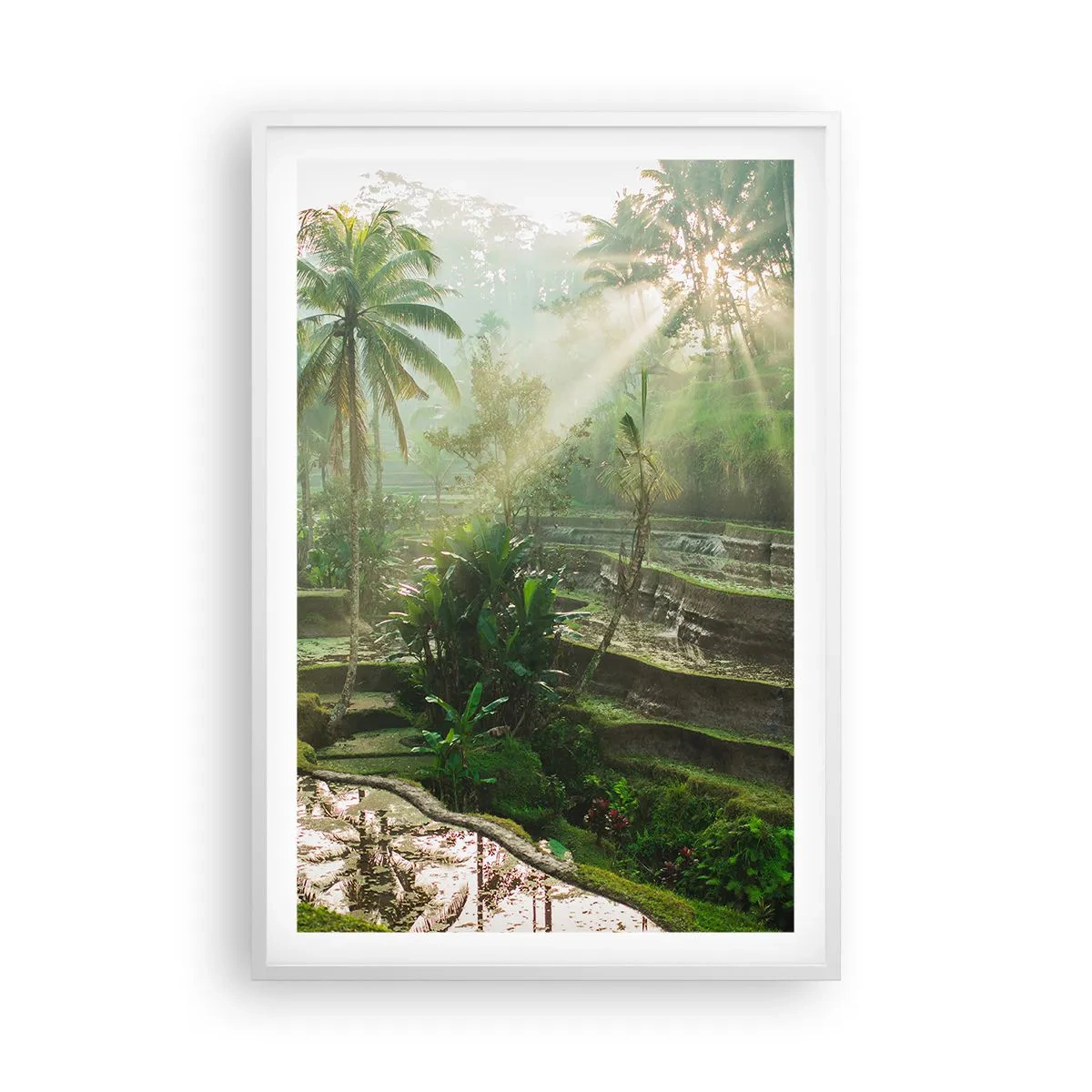 Affiche dans un cadre blanc - Poster - Grandir au soleil - 61x91 cm