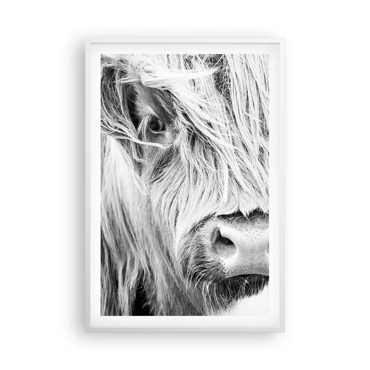 Affiche dans un cadre blanc - Poster - Sauvagerie écossaise - 61x91 cm