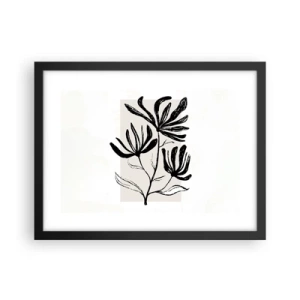 Affiche dans un cadre noir - Poster - Esquisse pour l'herbier - 40x30 cm