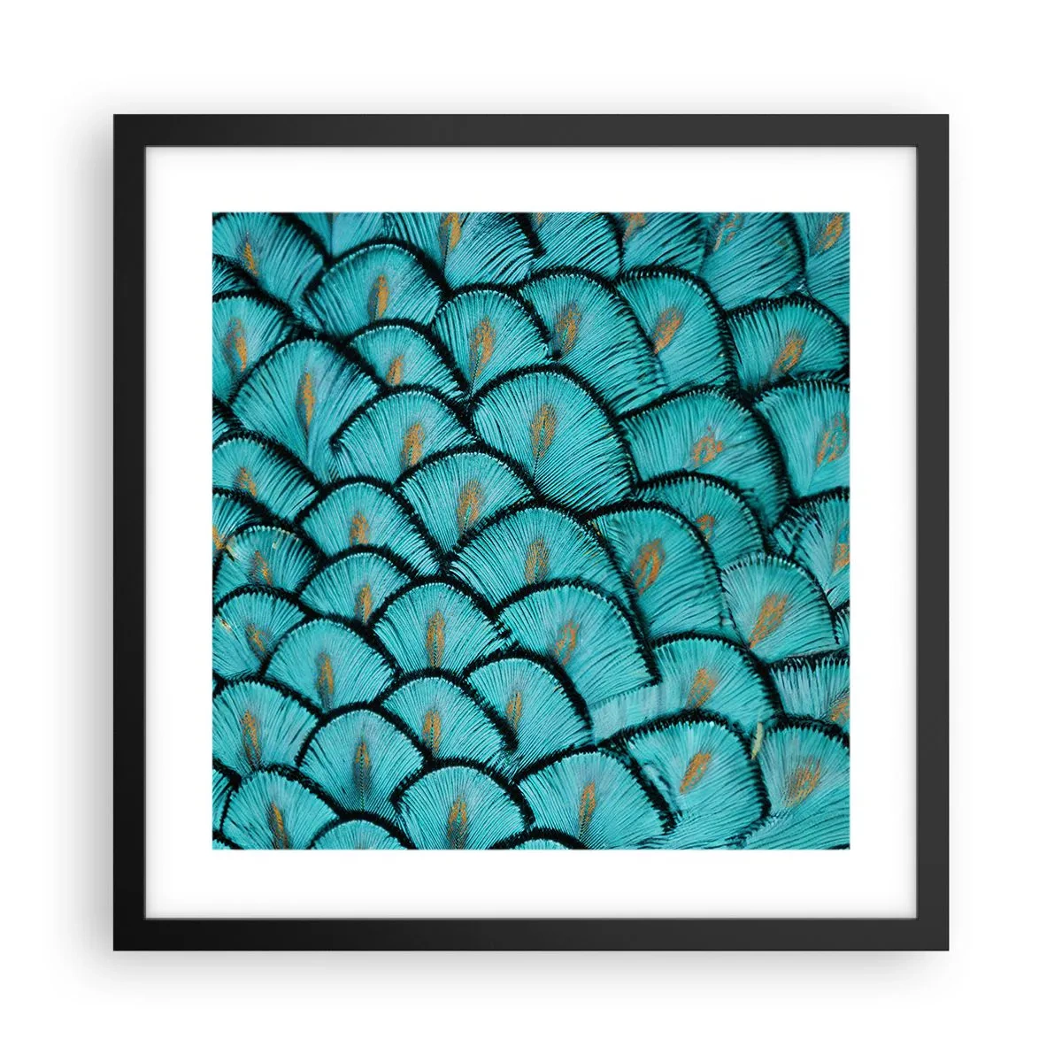 Affiche dans un cadre noir - Poster - Le grand gala des plumes - 40x40 cm