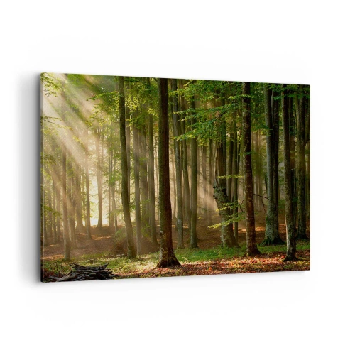 Impression sur toile - Image sur toile - Les rayons du soleil pénètrent à travers les arbres de la forêt - 120x80cm - Rayon d'un matin de printemps - Décoration murale moderne pour le salon et la chambre ARTTOR