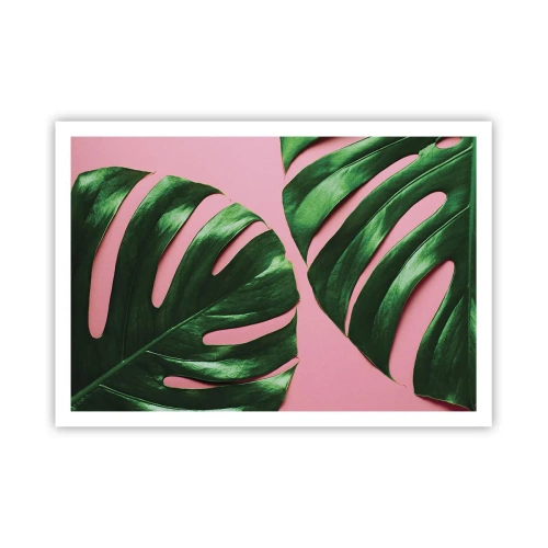 Affiche - Poster - Feuilles de monstera vertes sur fond rose - 100x70cm - Rendez-vous vert - Décoration murale moderne pour le salon et la chambre ARTTOR