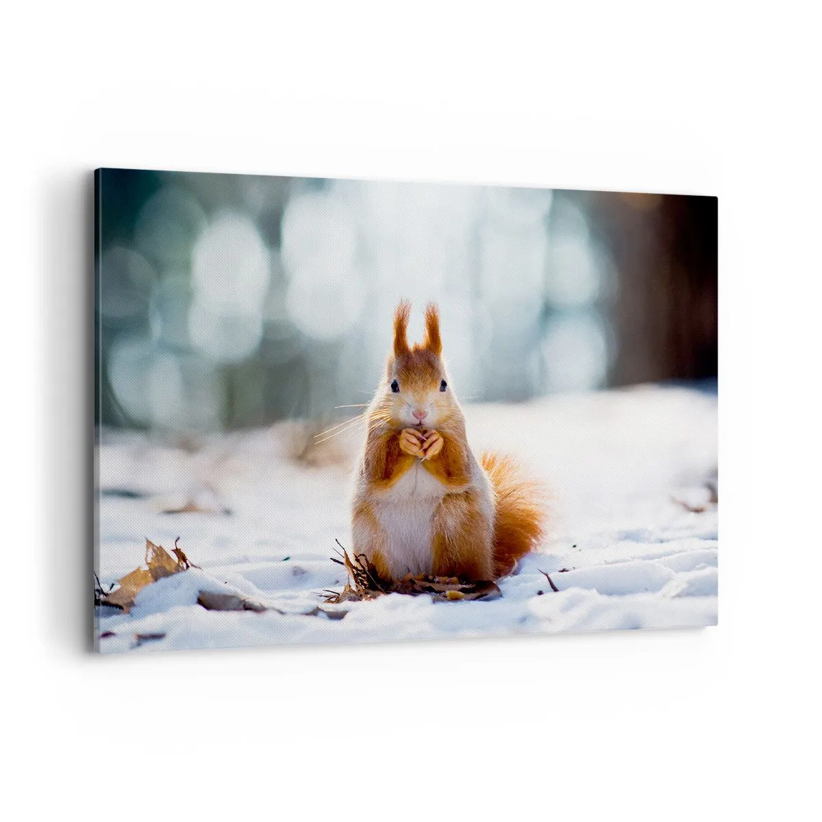 Impression sur toile - Image sur toile - Un écureuil dans un paysage hivernal - 100x70cm - Qu'est ce que tu regardes comme ça? - Décoration murale moderne pour le salon et la chambre ARTTOR