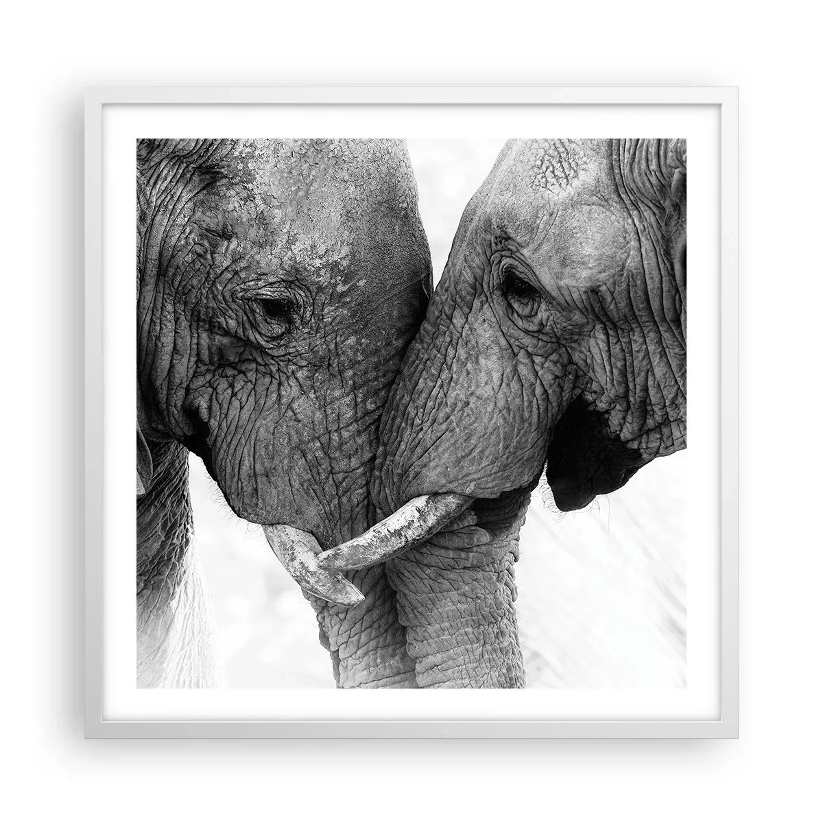 Affiche dans un cadre blanc - Poster - Confession sincère - 60x60 cm