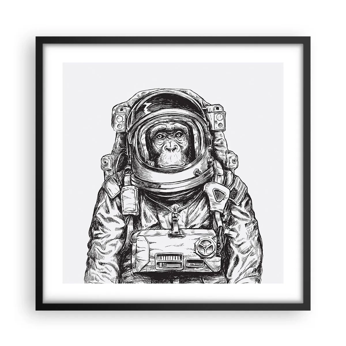 Affiche dans un cadre noir - Poster - Évolution alternative - 50x50 cm