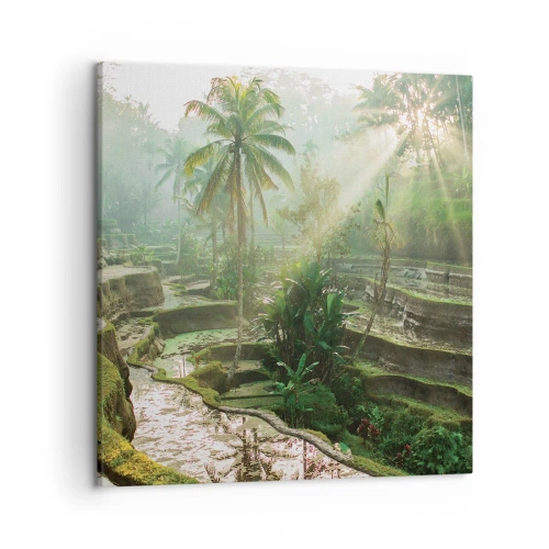 Impression sur toile - Image sur toile - Grandir au soleil - 50x50 cm