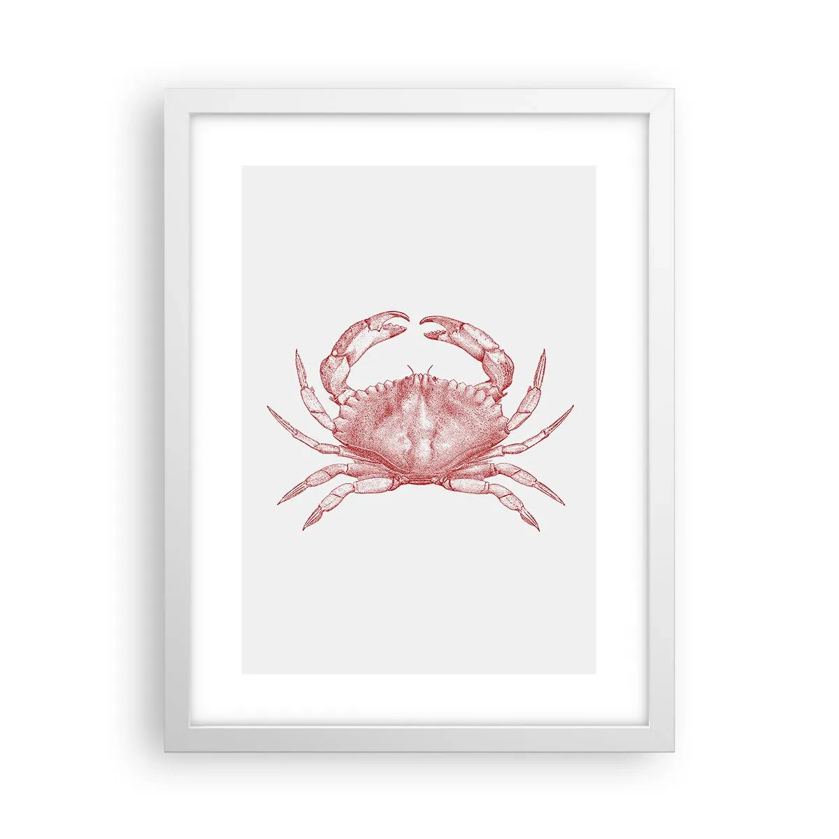Affiche dans un cadre blanc - Poster - Le crabe des crabes - 30x40 cm