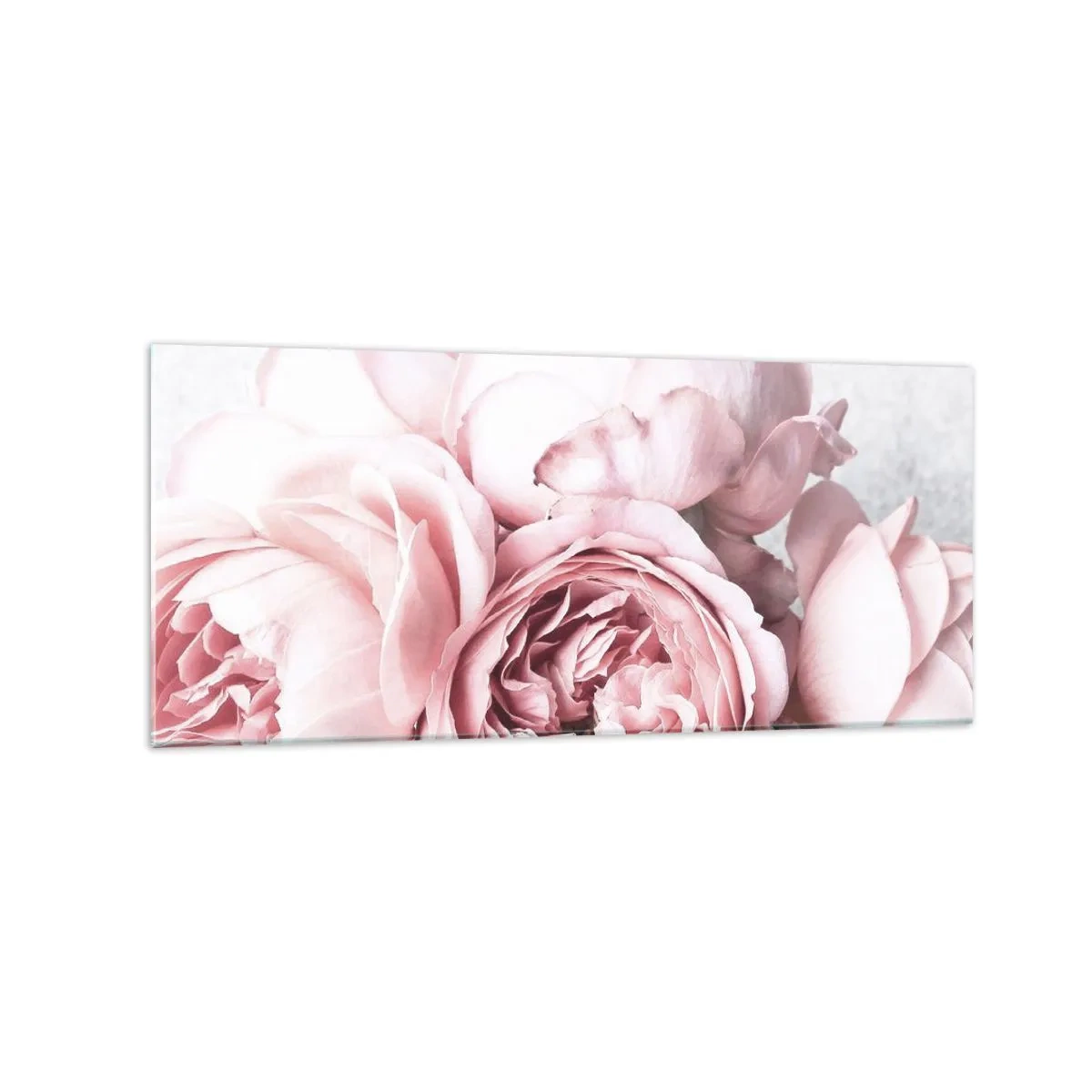 Impression sur verre - Image sur verre - Pivoines roses dans une lumière douce sur un fond clair - 120x50cm - Pour les romantiques - Décoration murale moderne pour le salon et la chambre ARTTOR