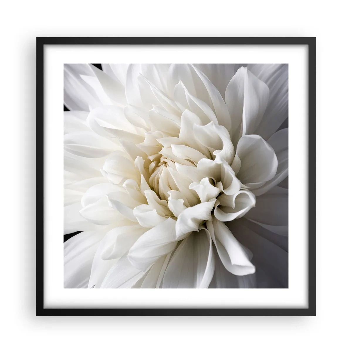 Affiche dans un cadre noir - Poster - Le matin de la jeune mariéé - 50x50 cm