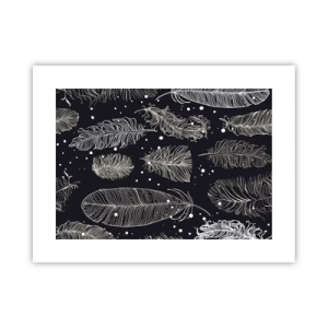 Affiche - Poster - Toile de plumes - 40x30 cm