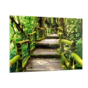 Impression sur verre - Image sur verre - Un chemin en bois dans une forêt verte couverte de mousse - 120x80cm - Un couloir de verdure - Décoration murale moderne pour le salon et la chambre ARTTOR