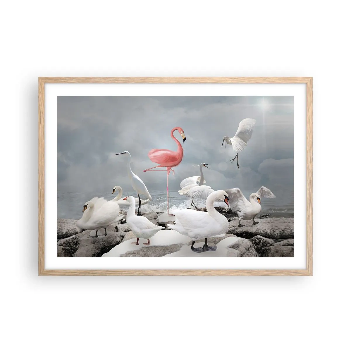 Affiche dans un chêne clair - Poster - Comment suis-je arrivé là? - 70x50 cm