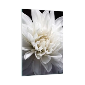 Impression sur verre - Image sur verre - Une délicate fleur blanche sur fond noir dans une composition élégante - 80x120cm - Le matin de la jeune mariéé - Décoration murale moderne pour le salon et la chambre ARTTOR