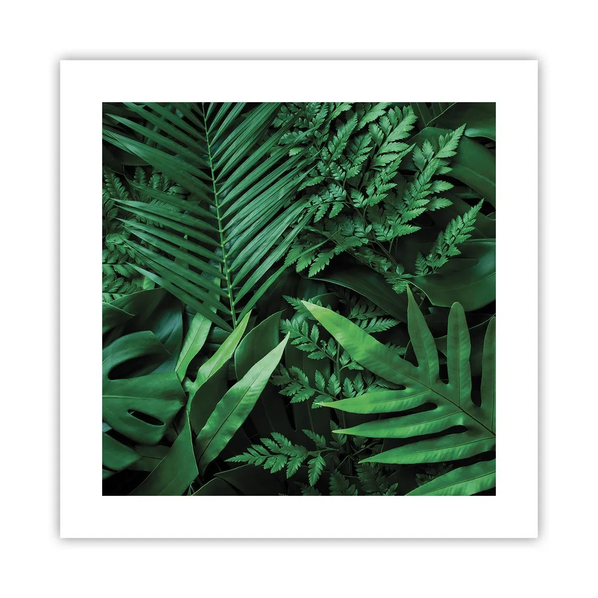 Affiche - Poster - Emmitouflé de verdure - 40x40 cm