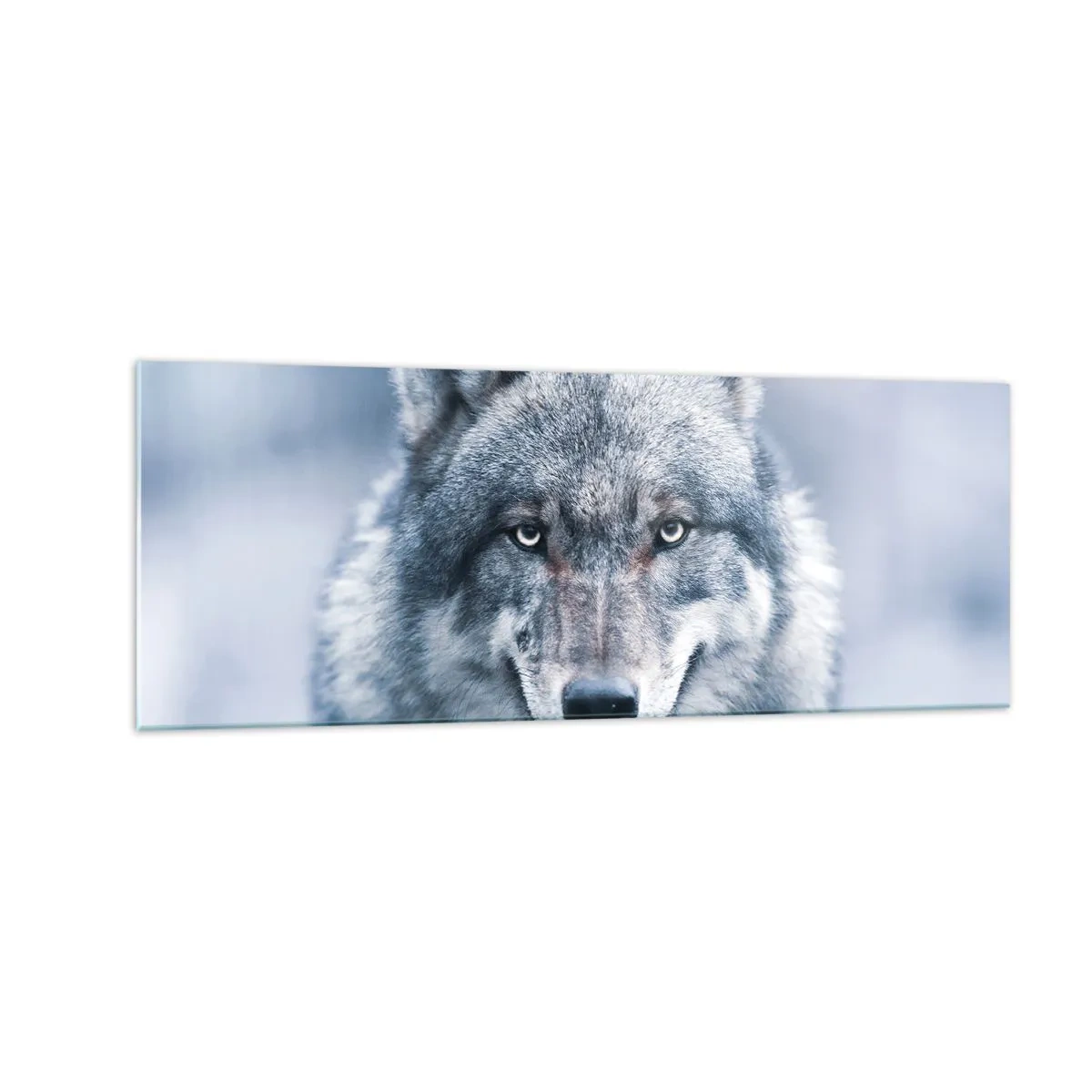 Impression sur verre - Image sur verre - Un loup au regard intense dans un paysage hivernal - 140x50cm - Relèverez-vous le défi ? - Décoration murale moderne pour le salon et la chambre ARTTOR