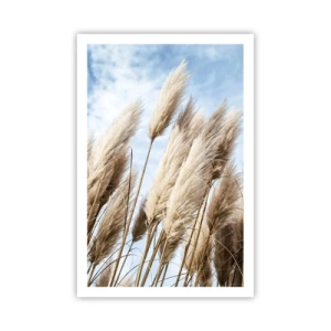 Affiche - Poster - Caresse ensoleillée et venteuse - 61x91 cm