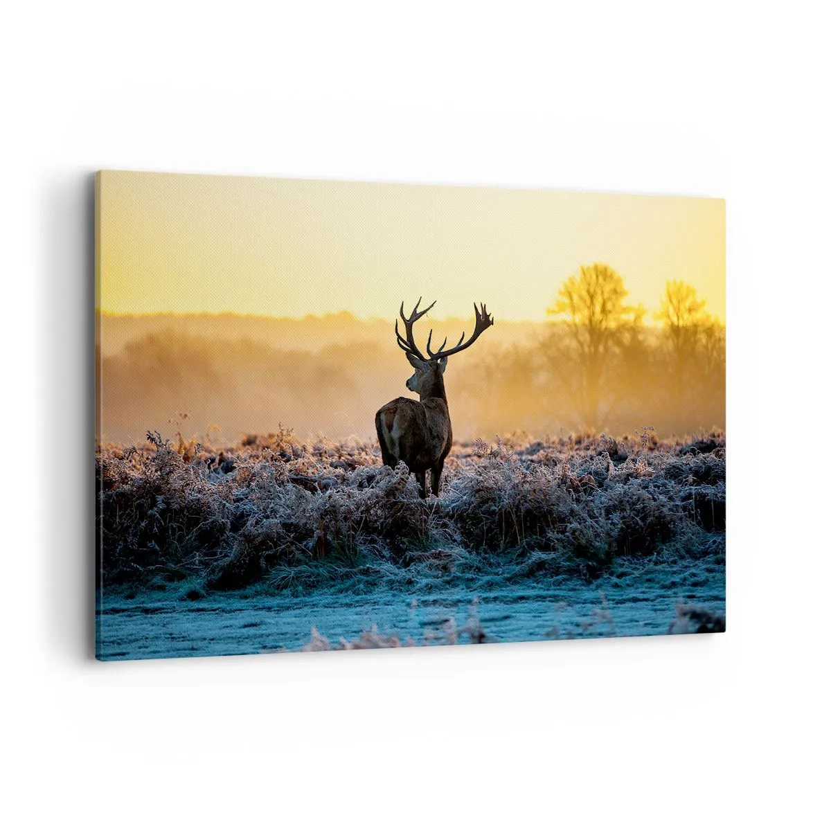 Impression sur toile - Image sur toile - Un cerf dans une clairière gelée au lever du soleil - 120x80cm - Couronné pour sa succession - Décoration murale moderne pour le salon et la chambre ARTTOR