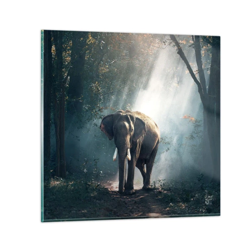 Impression sur verre - Image sur verre - Une balade tranquille - 70x70 cm