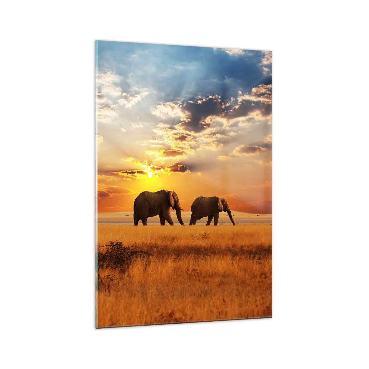 Impression sur verre - Image sur verre - Éléphants dans la savane au coucher du soleil - 70x100cm - Déambulation familliale - Décoration murale moderne pour le salon et la chambre ARTTOR