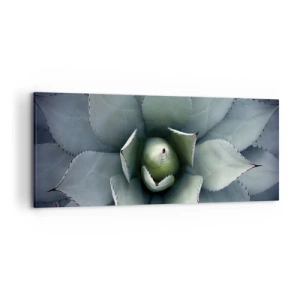 Impression sur toile - Image sur toile - Gros plan d'une rosette d'agave aux délicates nuances de vert - 120x50cm - Wabi et observe - Décoration murale moderne pour le salon et la chambre ARTTOR