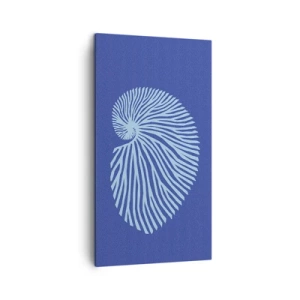 Impression sur toile - Image sur toile - La naissance de la coquille - 45x80 cm