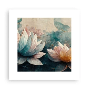 Affiche - Poster - Les étoiles du lac - 30x30 cm