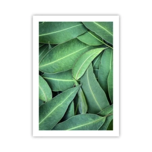 Affiche - Poster - Feuilles vertes disposées dans une composition dense - 50x70cm - Juteux et frais - Décoration murale moderne pour le salon et la chambre ARTTOR