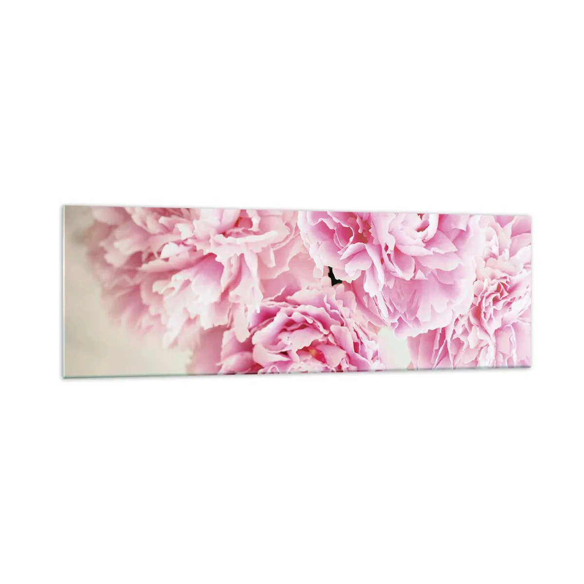 Impression sur verre - Image sur verre - Un bouquet de pivoines roses sur fond clair - 160x50cm - En glamour rose - Décoration murale moderne pour le salon et la chambre ARTTOR